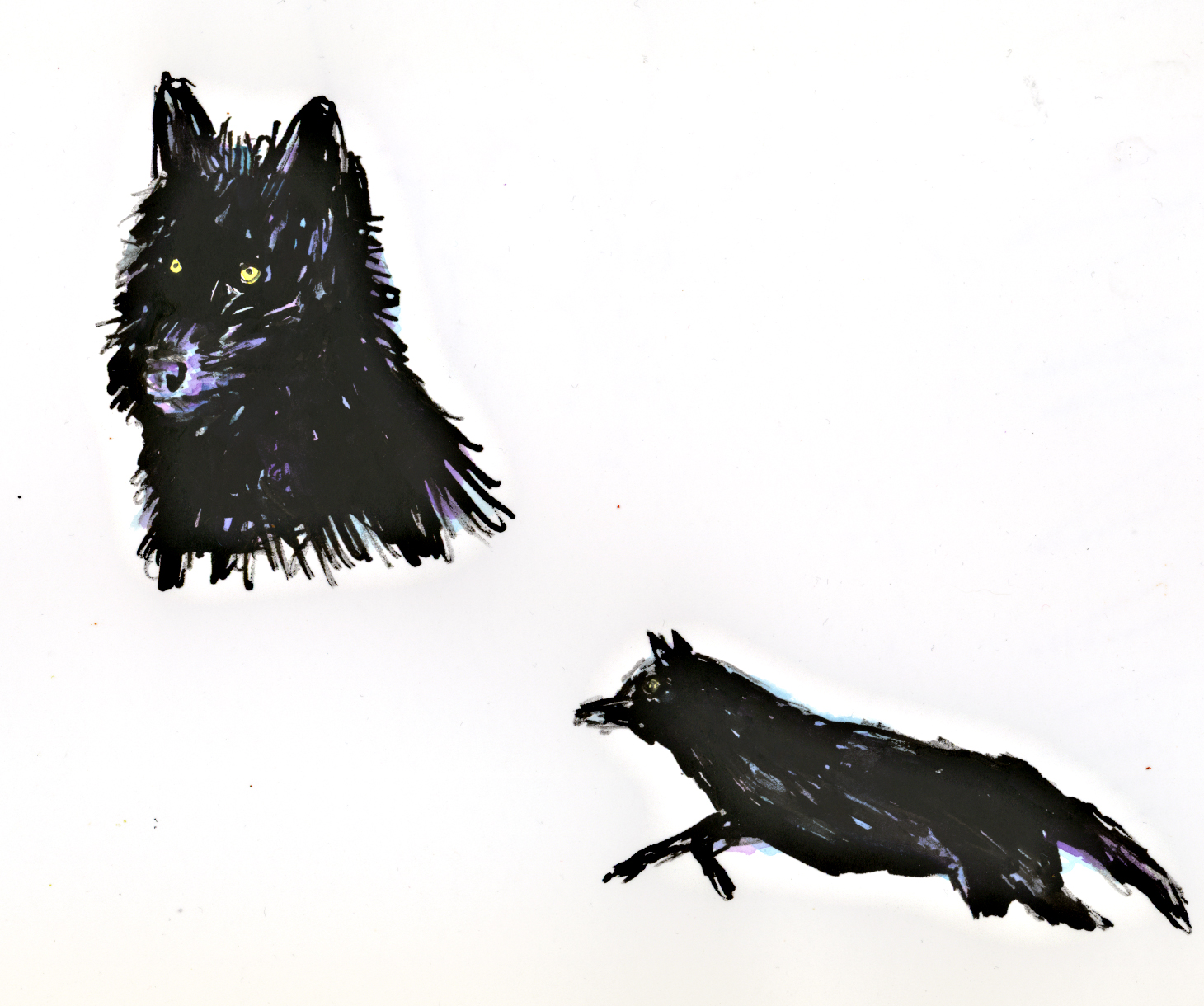 1460x1220 Matthewcordellblogs Wolf In The Snow