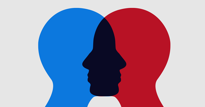 800x420 What Does Immersing Yourself In A Book Do To Your Brain