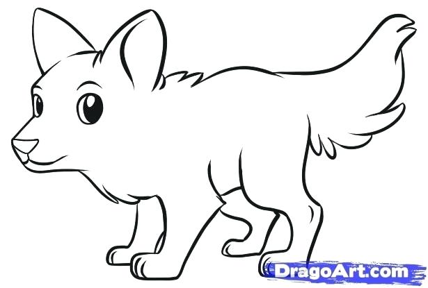 615x415 Wolf Drawings Easy Wolf Cool Wolf Drawings Easy