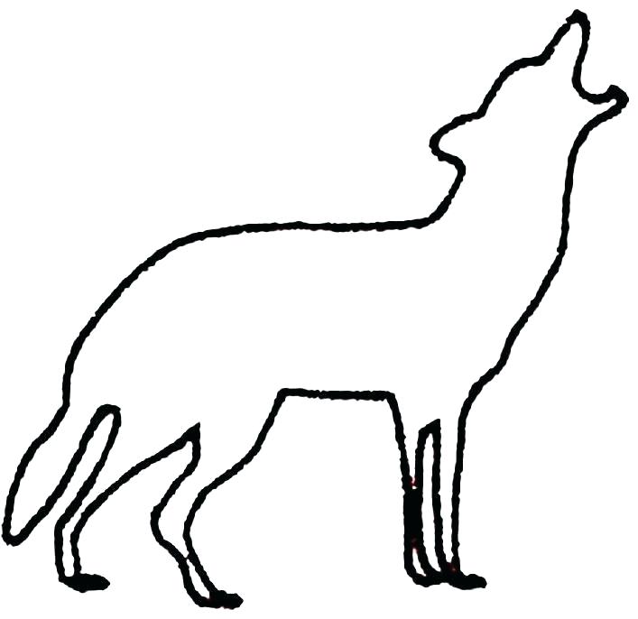 707x686 Wolf Outline Drawing Wolf Outline Drawing