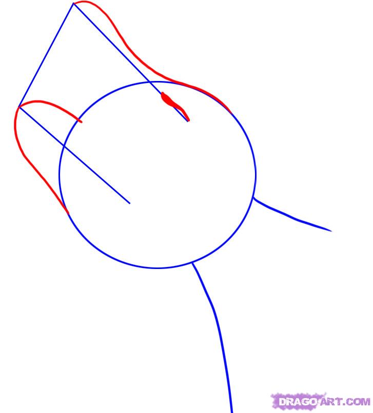 727x806 How To Draw A Howling Wolf, Step