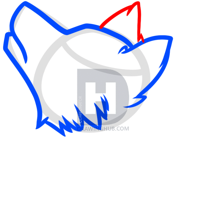 727x720 How To Draw A Howling Wolf Easy, Step