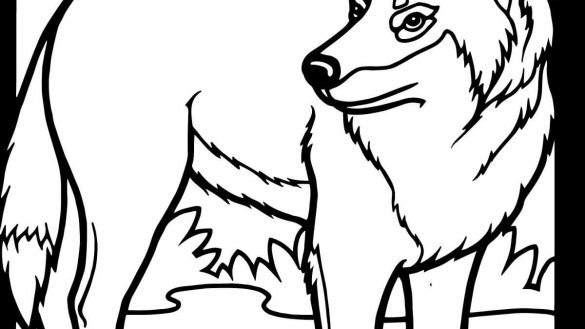 585x329 Wolf Coloring Pages For Kids House Top Free Printable Online