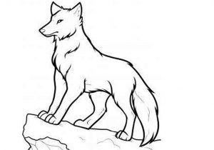 300x210 Wolf Drawing For Kids Amazing Easy Sketch Wolf How To Draw Wolves