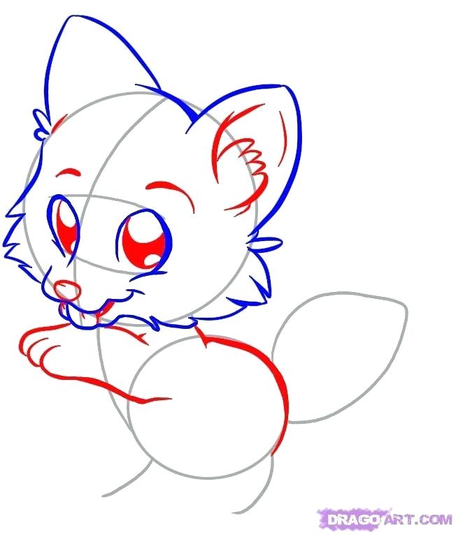 652x766 Cute Wolf Drawing How To Draw Wolf Step