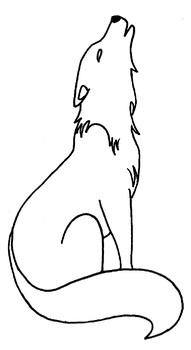 191x350 Wolf Drawing