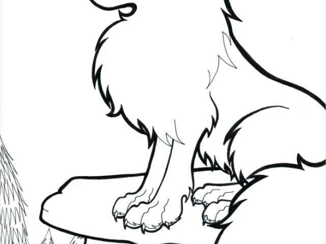 640x480 Wolves Drawings