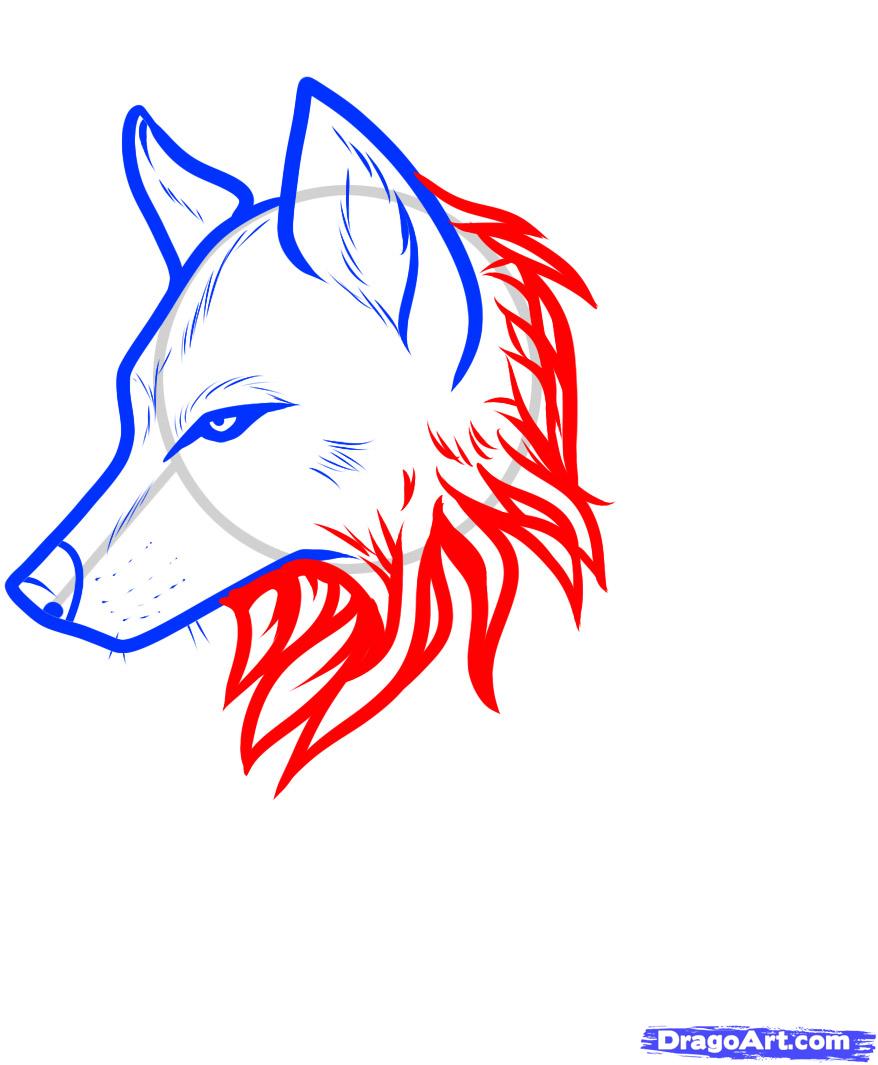 878x1065 How To Draw A Wolf Tattoo, Wolf Tattoo, Step