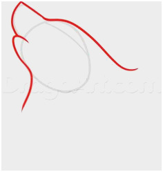 236x249 Free Drawing Tutorials Step