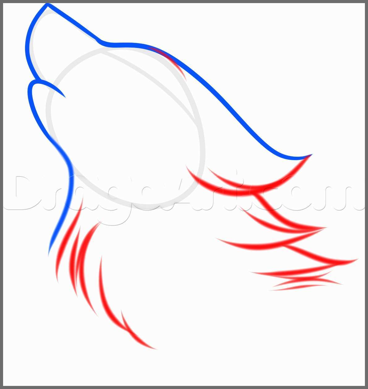 1191x1259 How To Sketch A Wolf Good Pencil Drawings Pencil Drawings Wolves