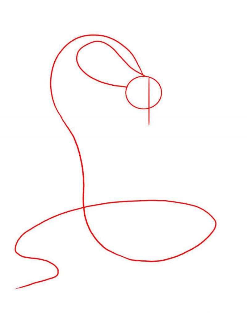 800x1058 How To Draw An Anaconda On Paper With A Pencil Step