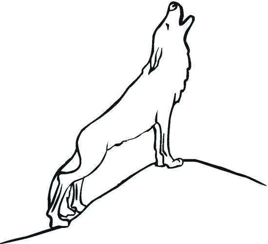 550x501 Simple Wolf Drawing Simple Sketch Drawing Easy Wolf Drawings