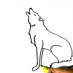 250x250 Simple Wolf Line Drawing Easy Step Head Very I Fertility