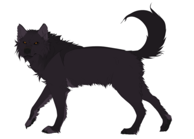 400x286 Tumblr Wolf Sketch Wolf, Drawings, Wolf Sketch