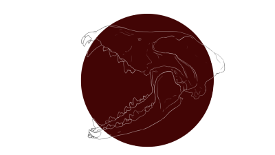 400x225 Wolf Drawing Tumblr