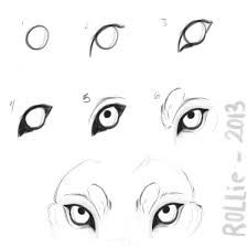 225x225 Image Result For How To Draw Wolf Eyes Drawing Tutorials Wolf