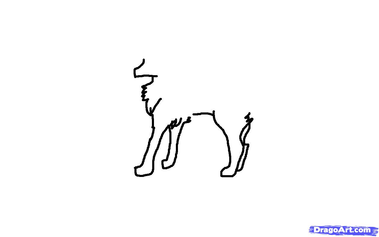 1280x801 Anime Wolf Drawing Tutorial, Step
