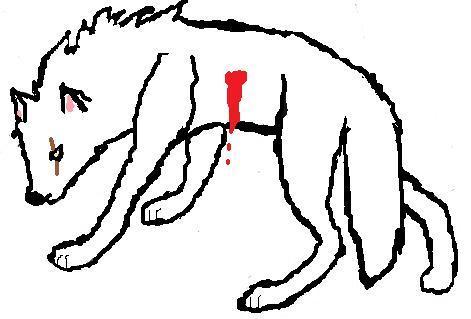471x319 Ice Wolf Images My Drawings Wallpaper And Background Photos