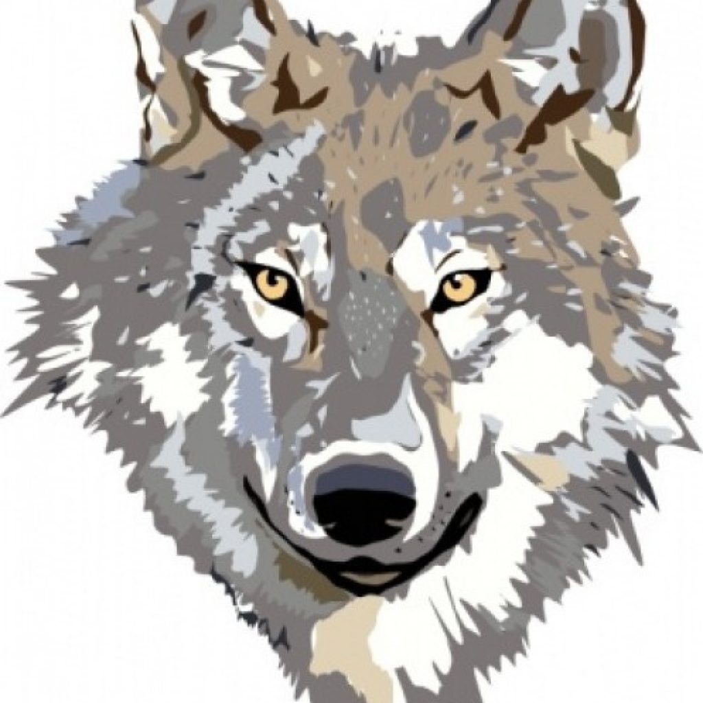 1024x1024 Wolf Clipart Pumpkin Clipart House Clipart Online Download