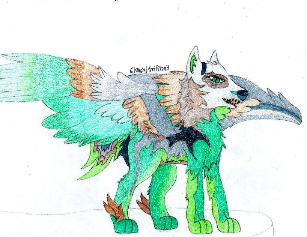 1024x790 My Wolf Pony Oc With Wings Equestria Amino