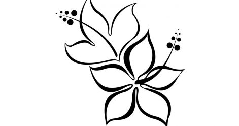 471x250 Wings Drawing Outline Bird Easy Angel Illustrator Wolf With Images