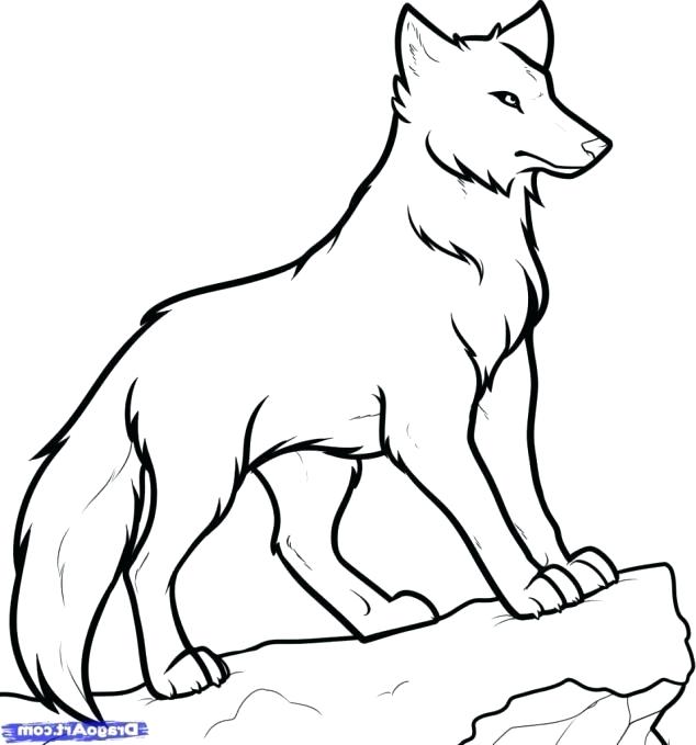 Wolf Drawings In Pencil | Free download on ClipArtMag