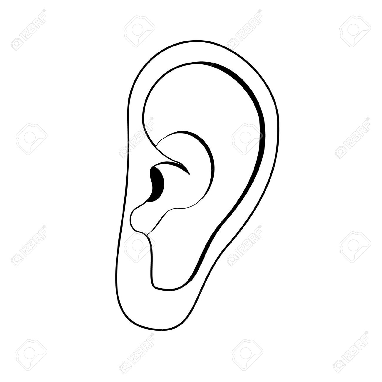 1300x1300 Ear Drawing Free Download