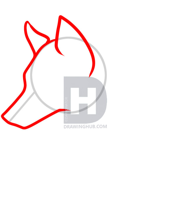 593x720 How To Draw A Wolf Tattoo, Wolf Tattoo, Step