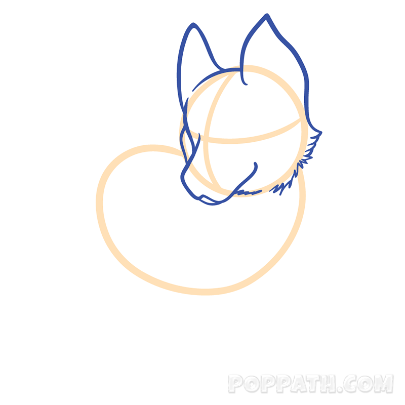 800x800 How To Draw A Wolf Pop Path