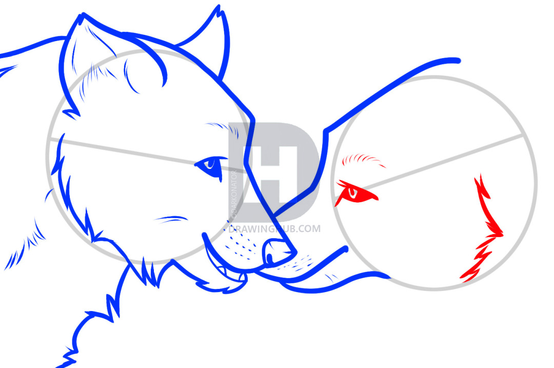 1080x717 How To Draw Wolf Love, Wolf Love, Step