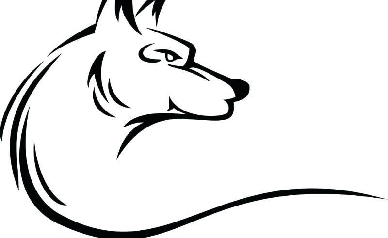 800x491 Wolf Face Drawing Beauty Within Clinic Outline