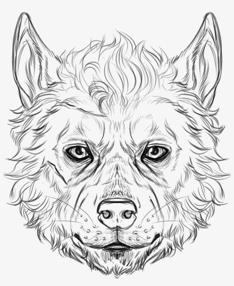 820x1000 Wolf Faces