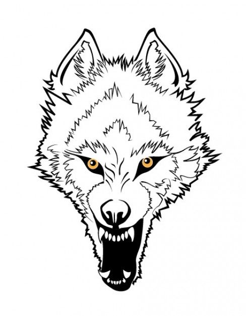 488x626 angry wolf face x graphics in wolf face, angry wolf, wolf