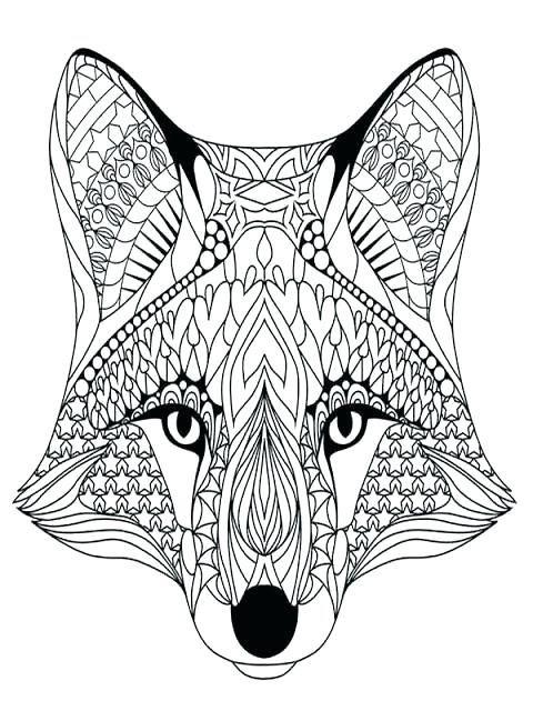 480x640 Wolf Face Coloring