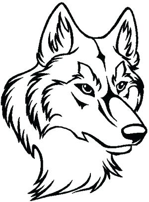 300x406 Wolf Face Outline Outline Of A Wolf Head Search