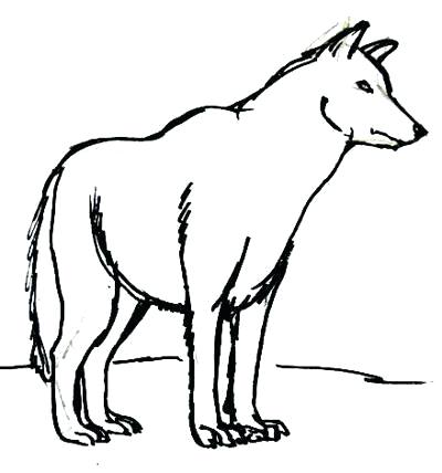 400x428 wolf outline drawing completed outline wolf face outline drawing