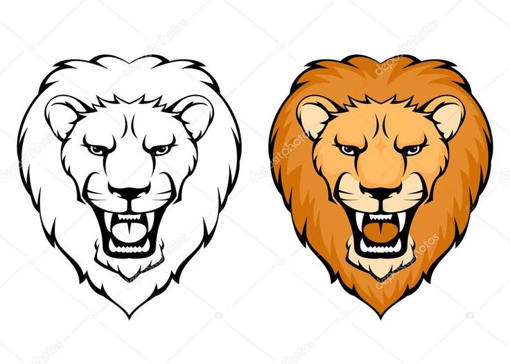 736x525 Simple Lion Drawing Easy Lion Face Drawing