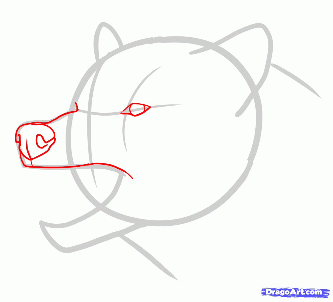 1132x1029 Draw An Angry Wolf, Step