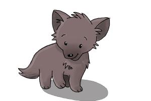 300x200 How To Draw A Wolf For Kids