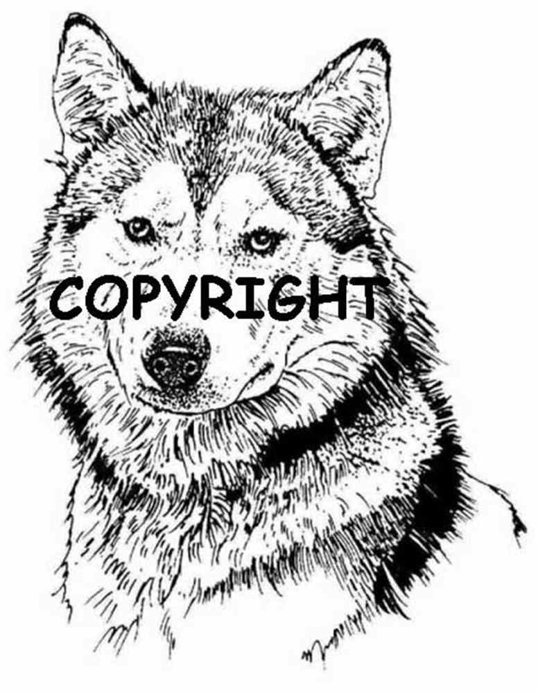 776x999 Wolf Face Mounted Art Rubber Stamp