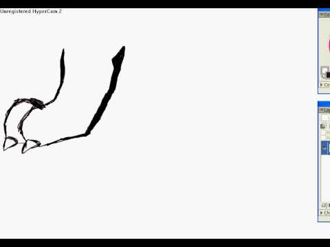 480x360 How To Draw A Paw Side View