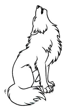 236x376 D O Wolf Drawing Troller Us