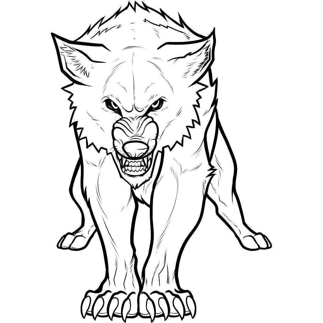 1086x1086 Wolf Head Drawing Step