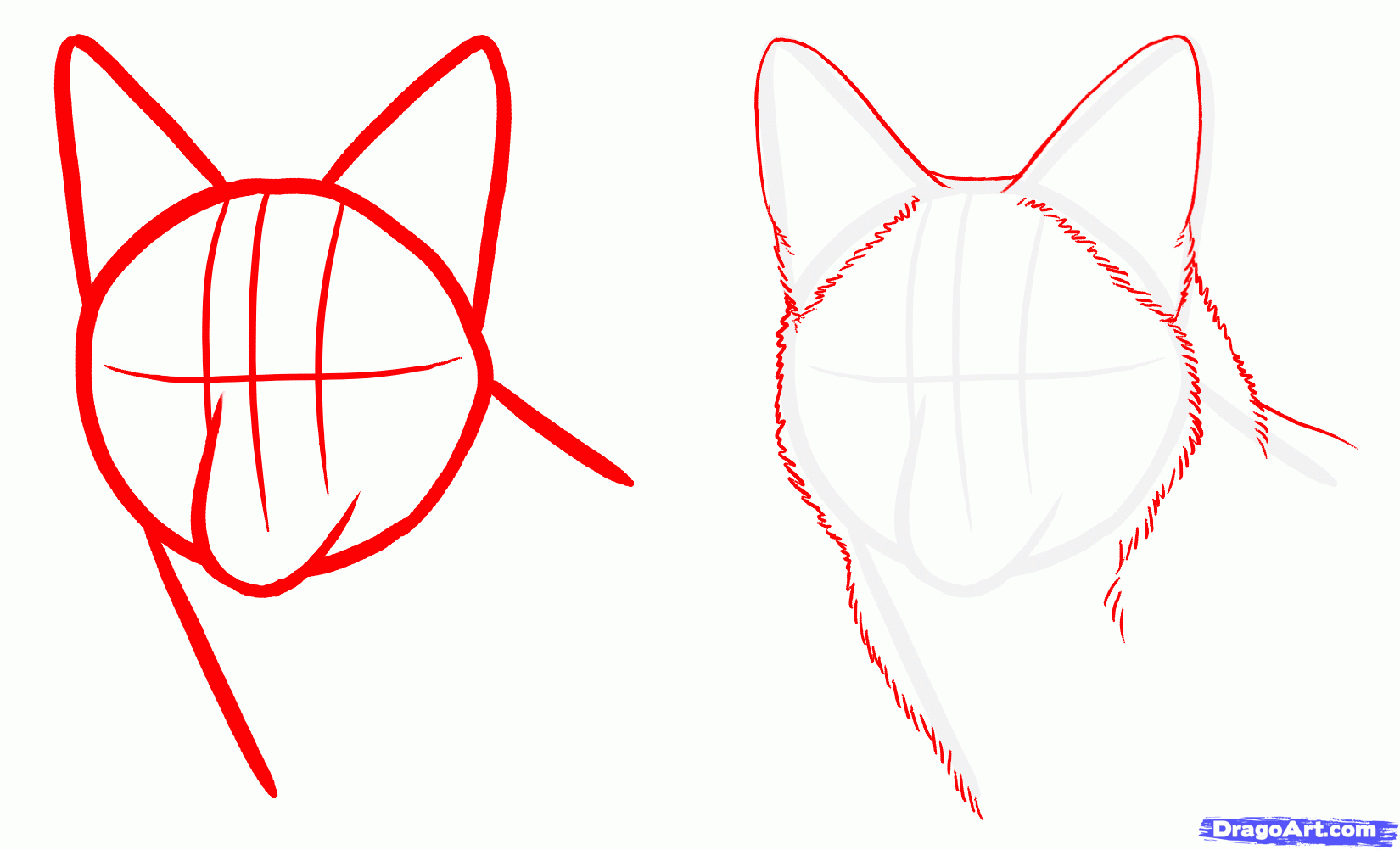 1650x1002 How To Draw Coyotes, Prairie Wolf, Step