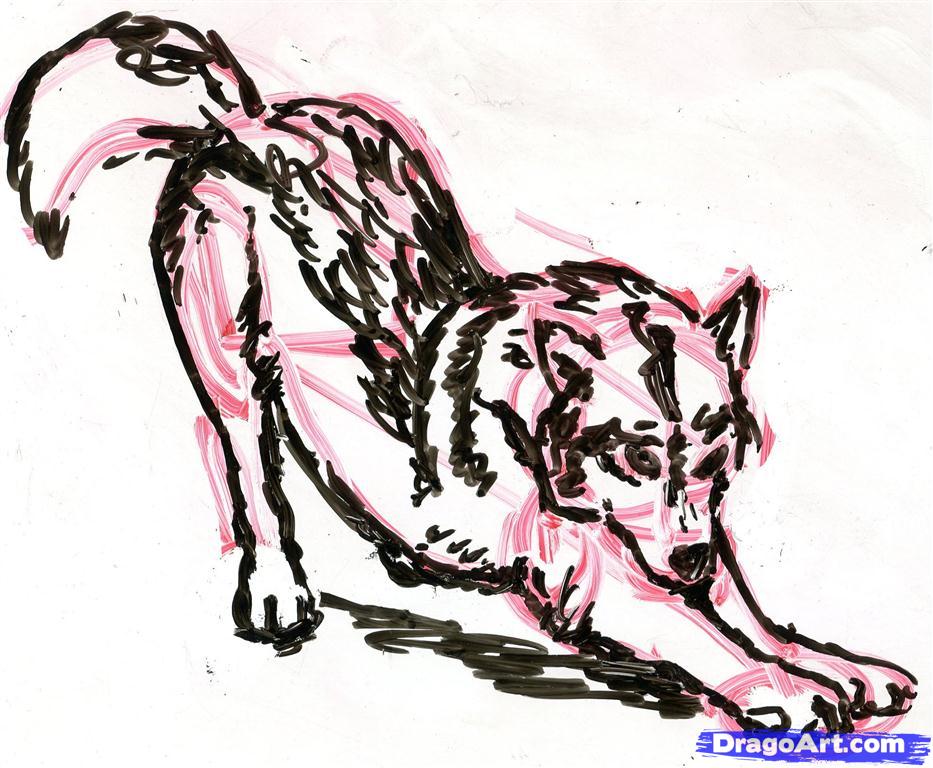 933x768 How To Draw A Realistic Wolf Head Step