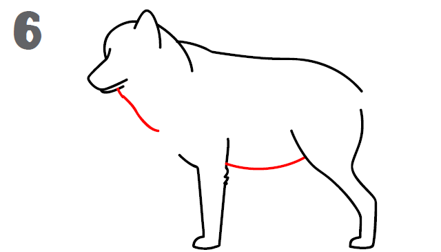 640x365 Huge Collection Of 'easy Wolf Drawing Step