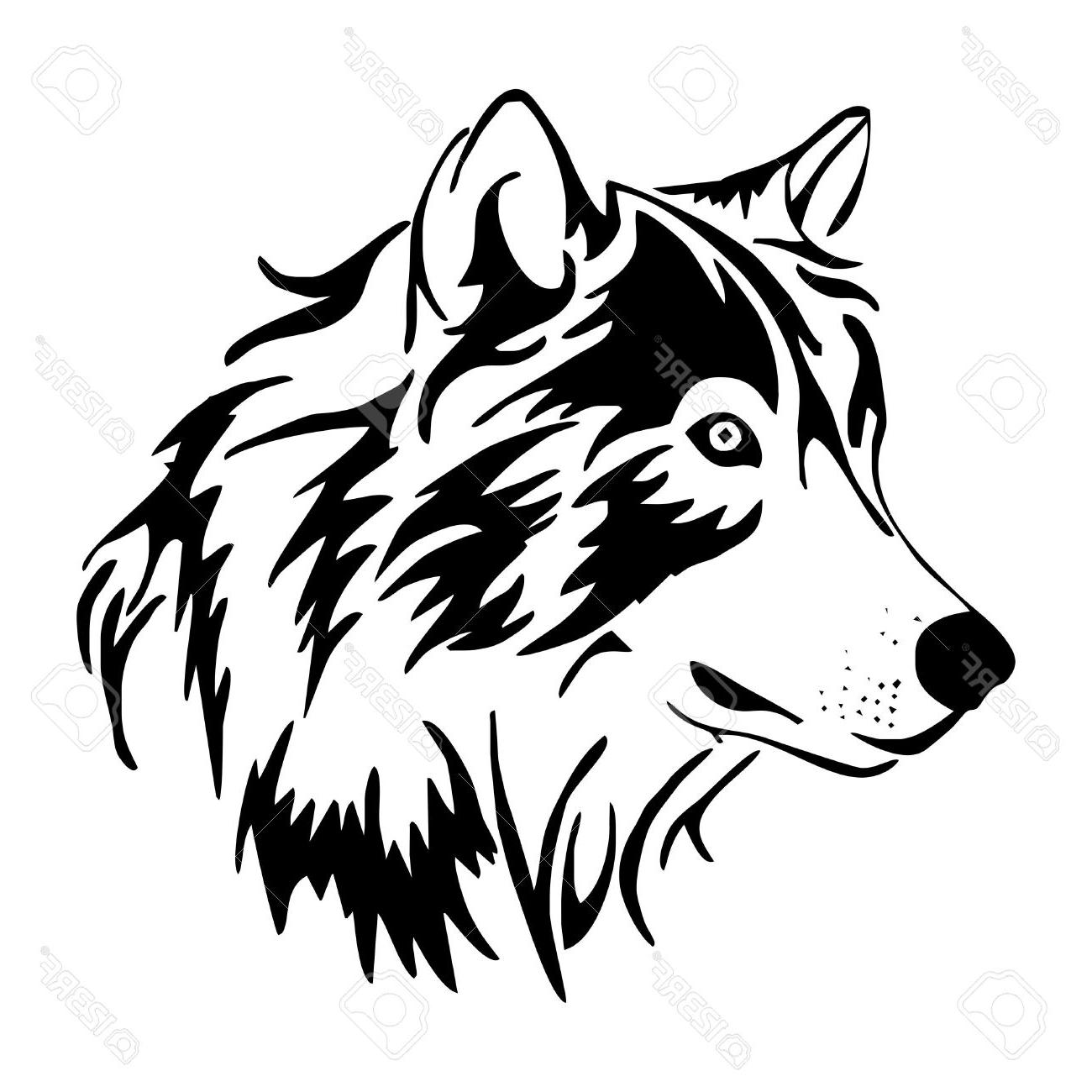 1300x1300 Huge Collection Of 'howling Wolf Head Drawing' Download More Than