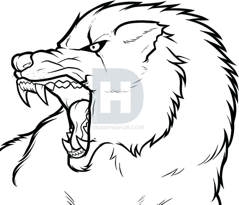 838x720 Wolf Outline Drawing How