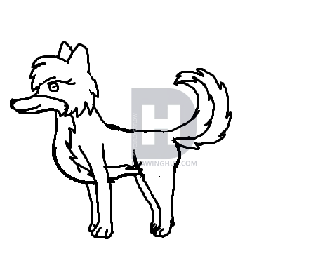 473x375 How To Draw A Wolf, Step