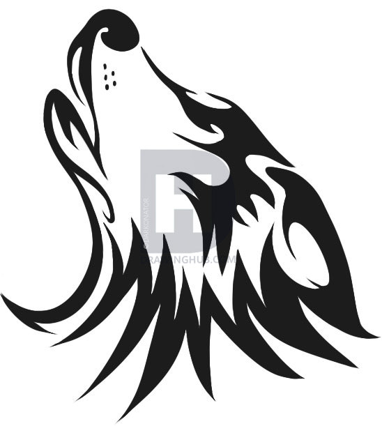 548x611 How To Draw A Wolf Head, Step